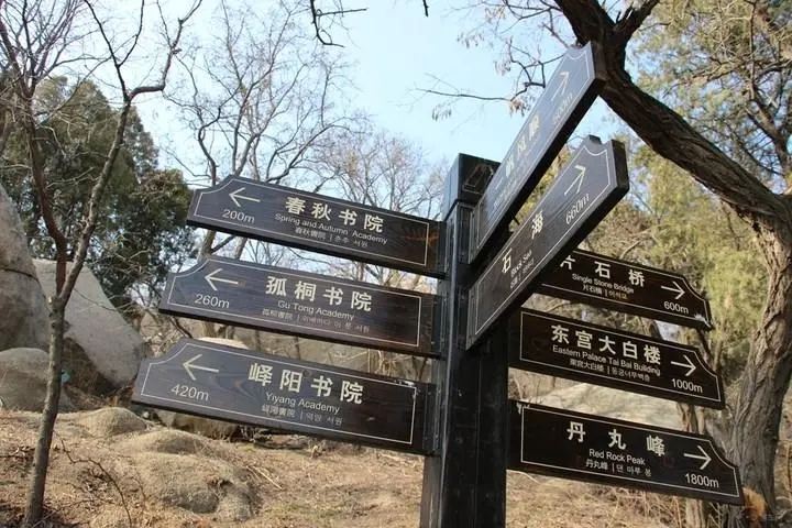 成都廣告91香蕉下载地址標識牌廣告製造的材料